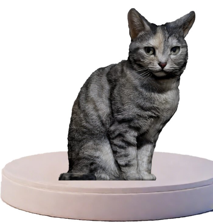 Custom 3D Animal Figurine 8cm | Standing or Lying Pose - Image 2
